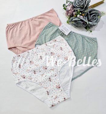 Pack de 3 culotte C03
